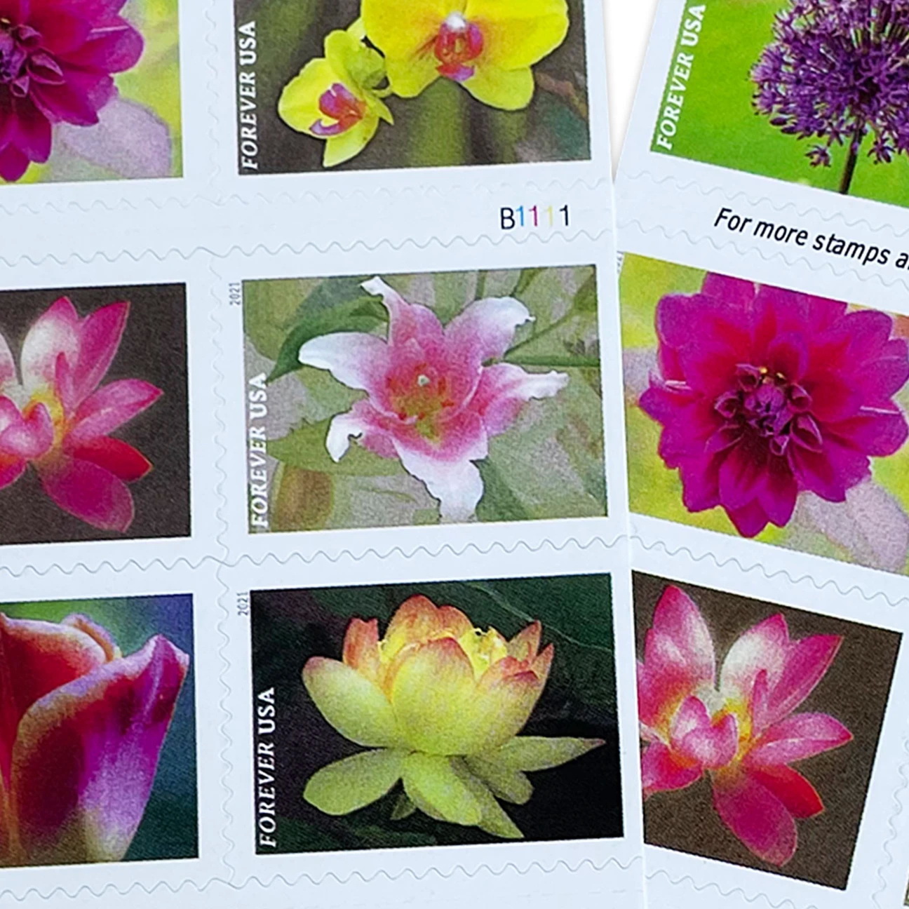 [Copy]Garden Beauty 2021, 300 Pcs