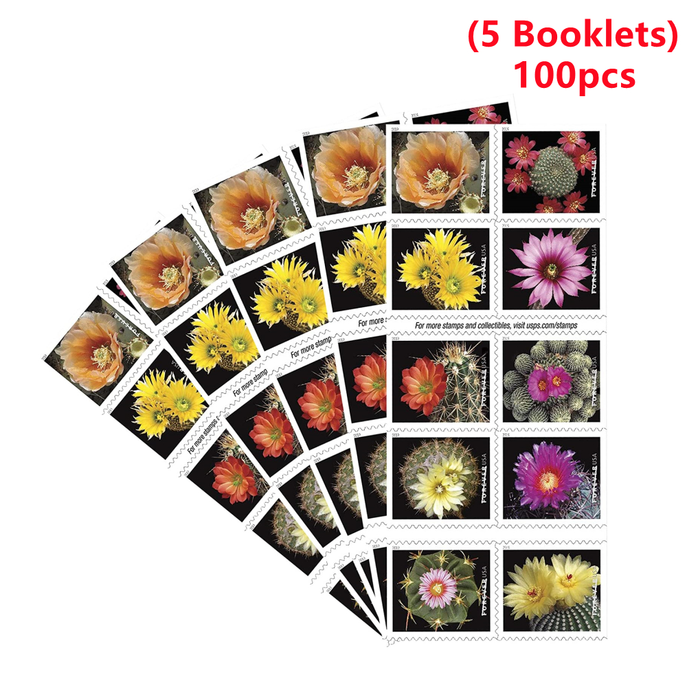 Cactus Flowers 2019, 100pcs