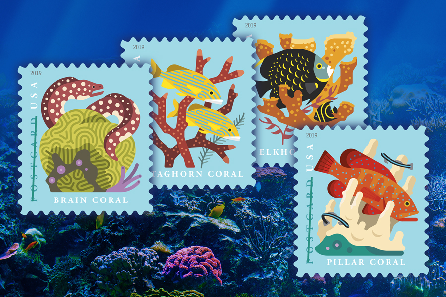 2019 Coral Reefs Postcard