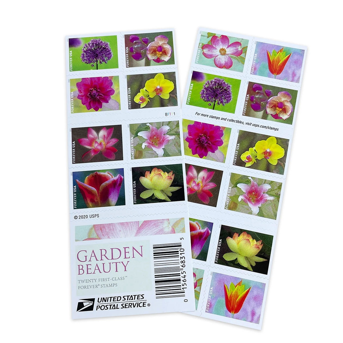 [Copy]Garden Beauty 2021, 300 Pcs