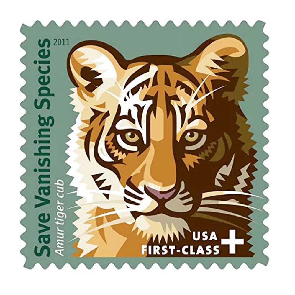 Save Vanishing Species Amur Tiger 2011