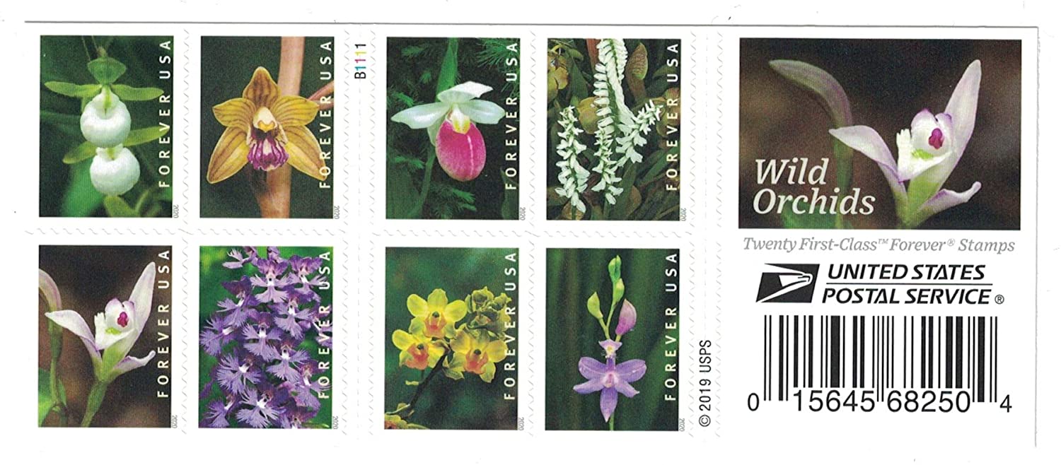 Wild Orchids 2020,100pcs