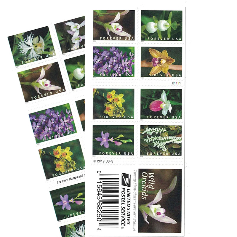 Wild Orchids 2020,100pcs