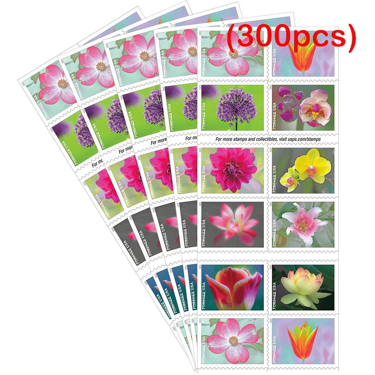 [Copy]Garden Beauty 2021, 300 Pcs