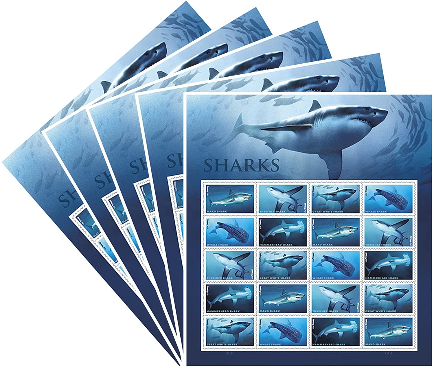 Shark 2017, 100pcs