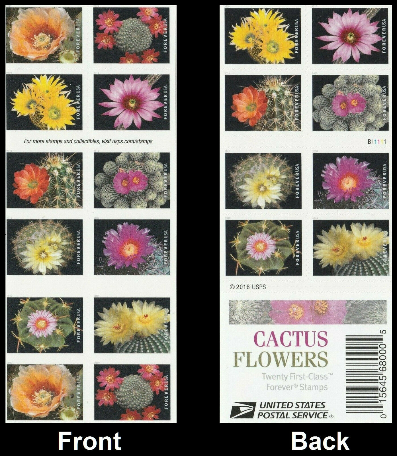 Cactus Flowers 2019, 100pcs