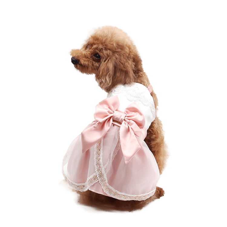 wedding clothes for dogs