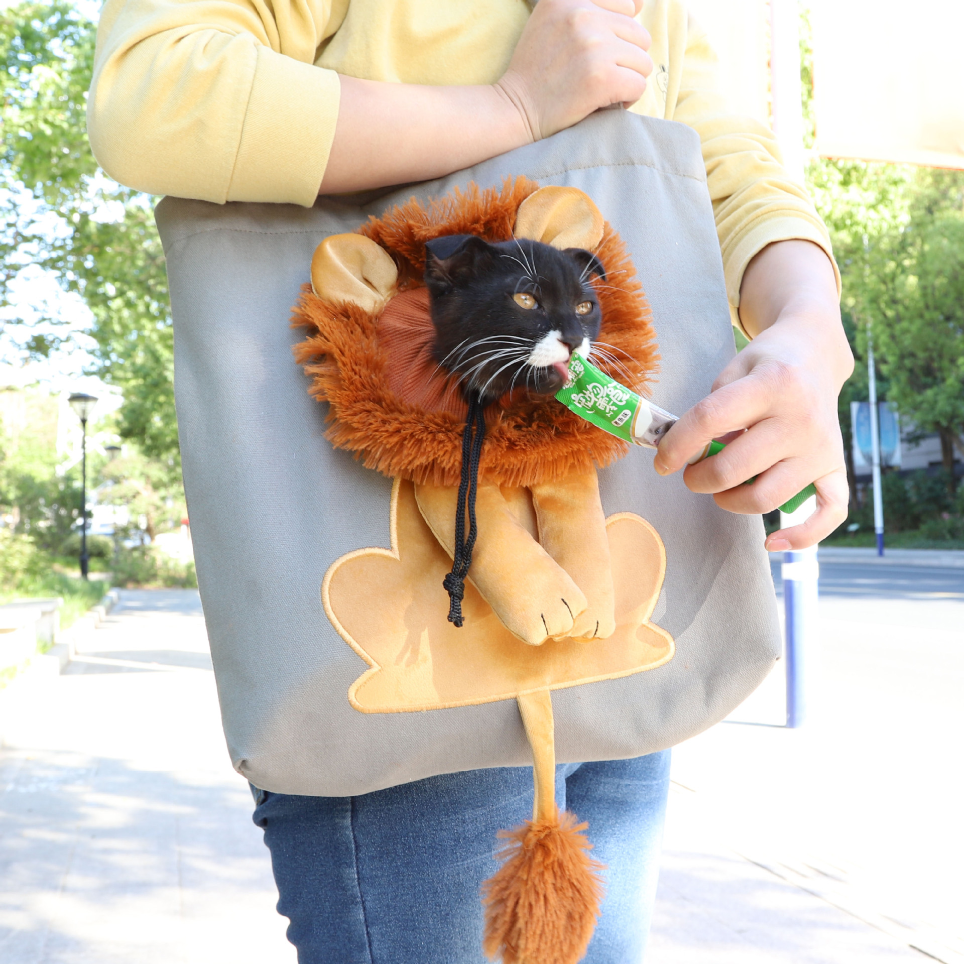 Little lion exposed head shape pet handbag-BUNNYKACHU