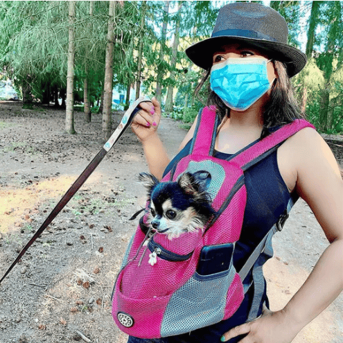 2023🔥 Portable Pet Backpack-BUNNYKACHU