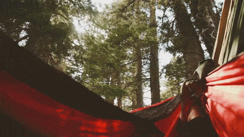 Hammock Thread: Hang Around a While - The Something Awful Forums