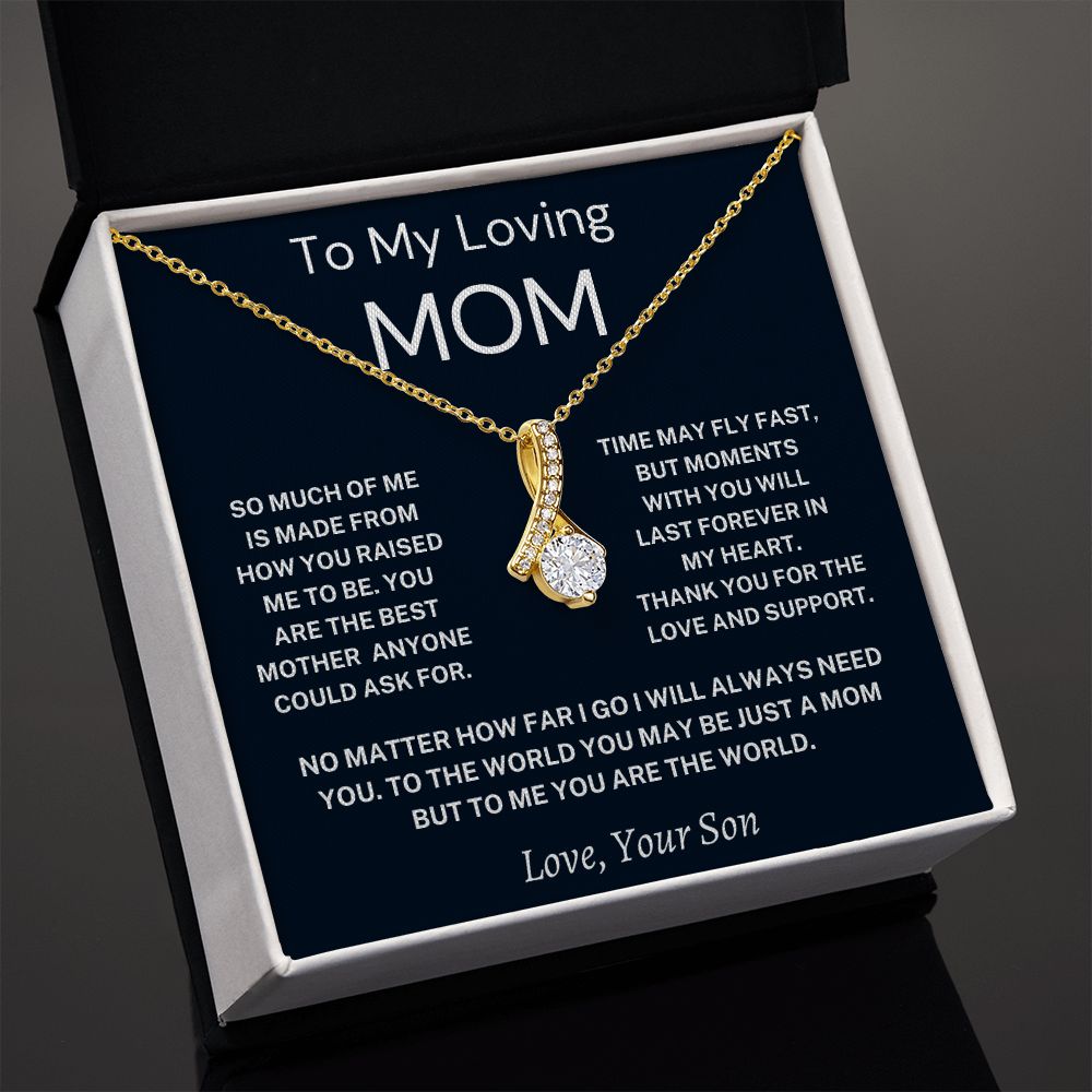 Mom Gift- From Son-BUNNYKACHU