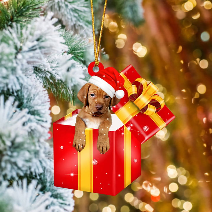 Vizsla In Red Gift Box Christmas Ornament