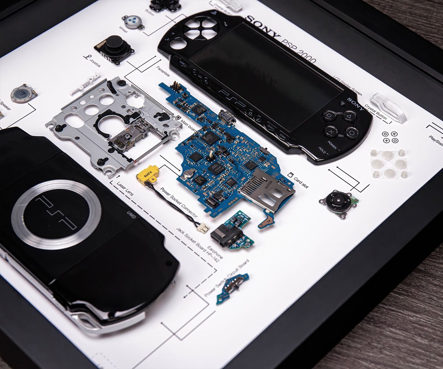 PSP1000 標本アート 【公式通販】