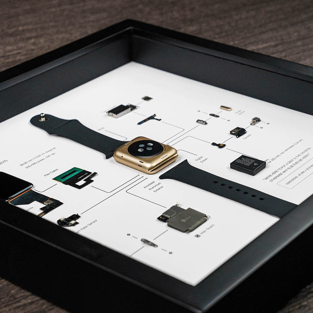 GRID® Watch 1st Gen (Series 0)