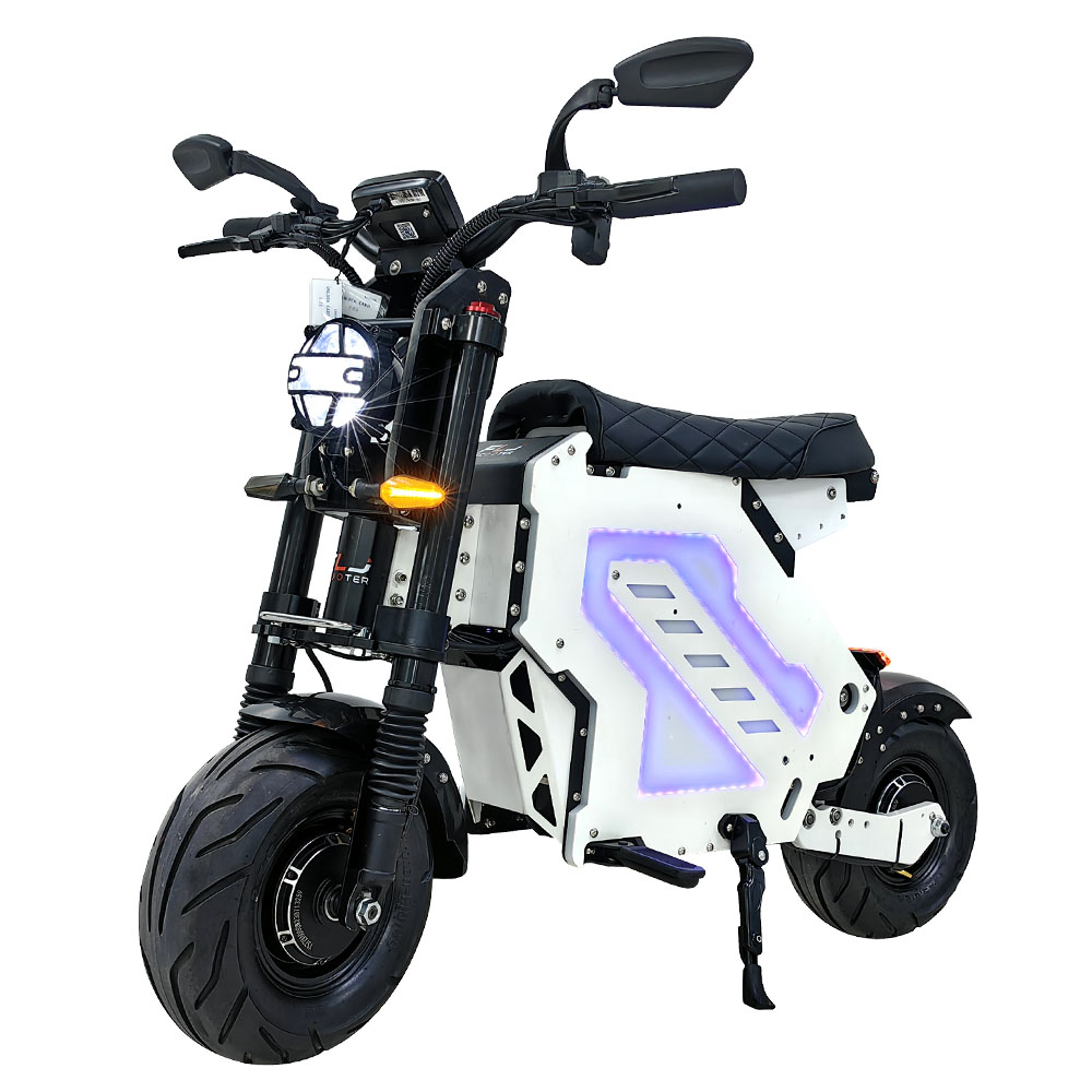JMS Scooter Roller Faltgarage Motorroller : : Auto & Motorrad