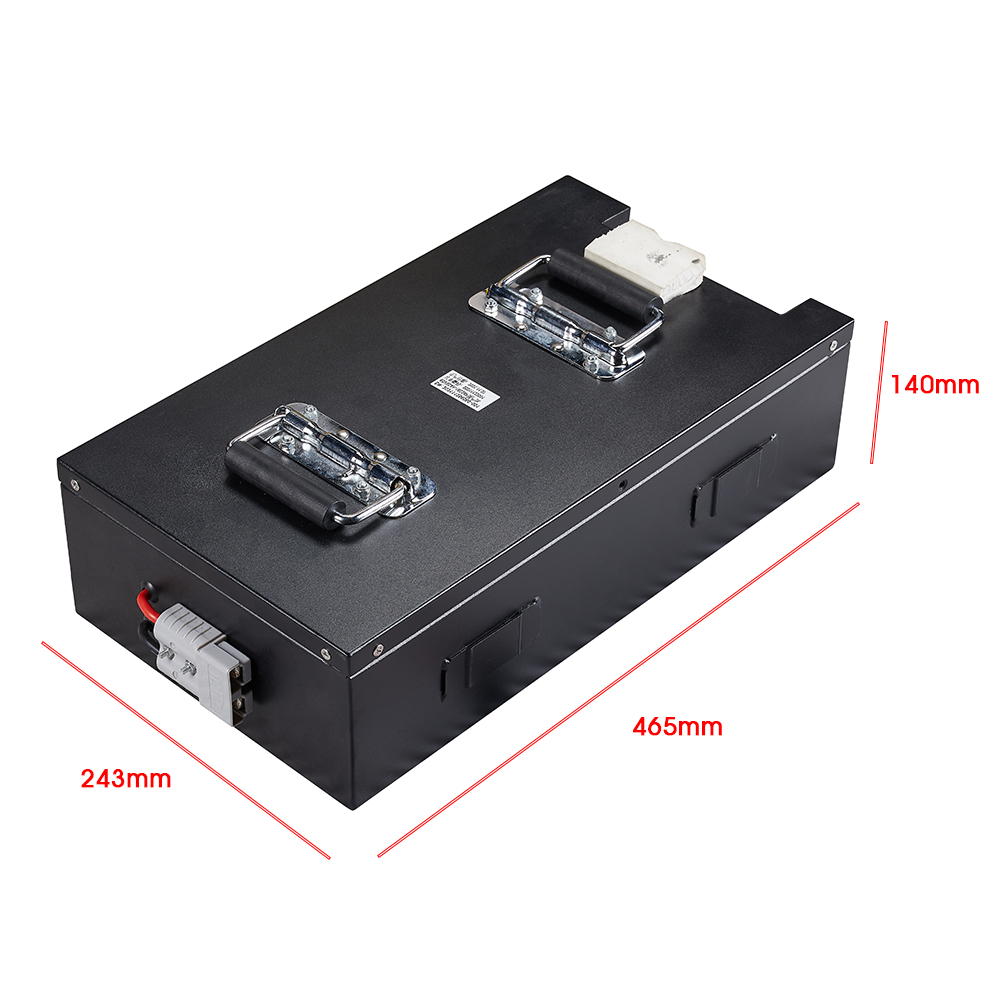 Removeable Battery 60V 50ah 80ah for FLJ X14 10000W Fat Tire Electric Scooter E Bike Battery
