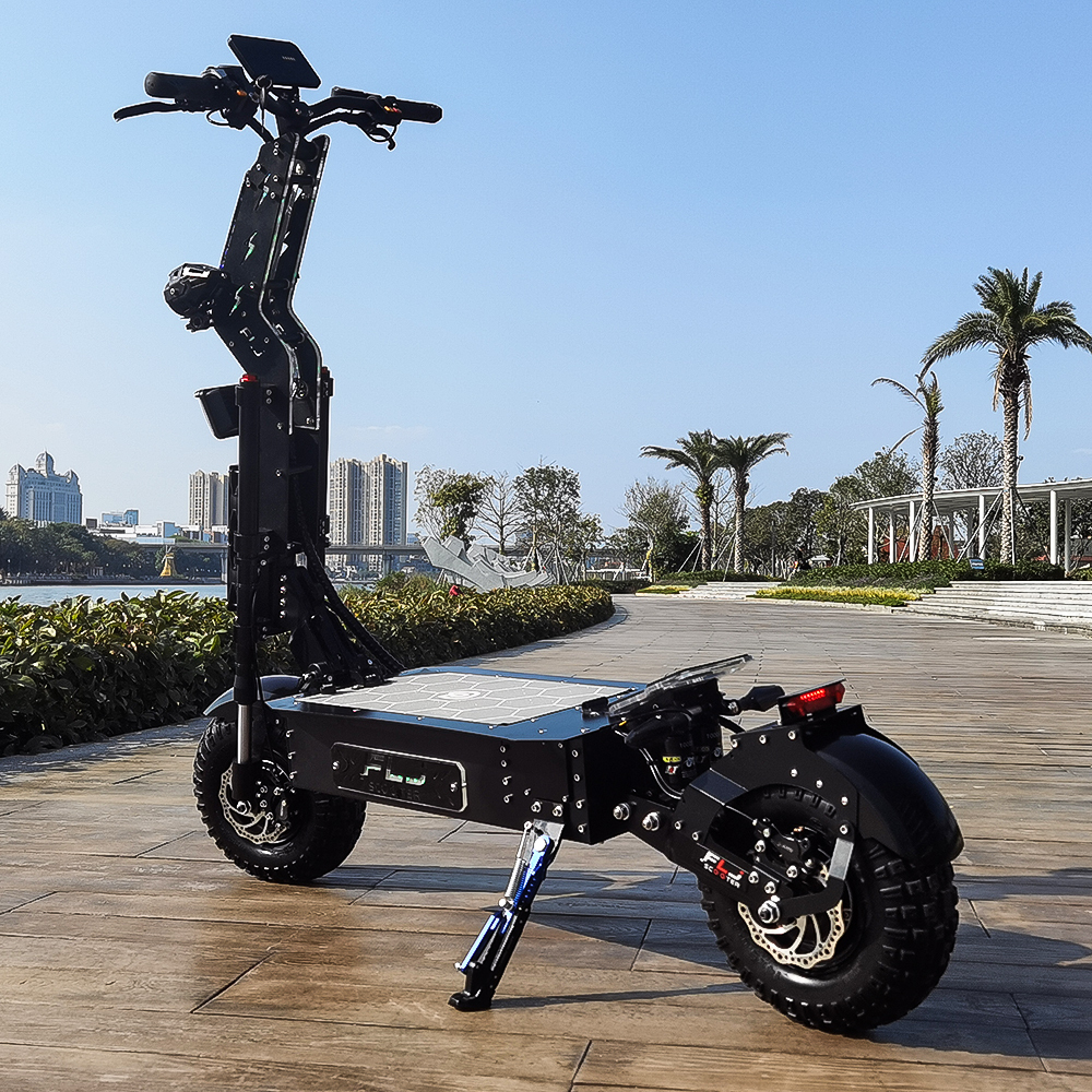 2023 New 10000W Fat Wheel Electric Scooter with Removeable battery