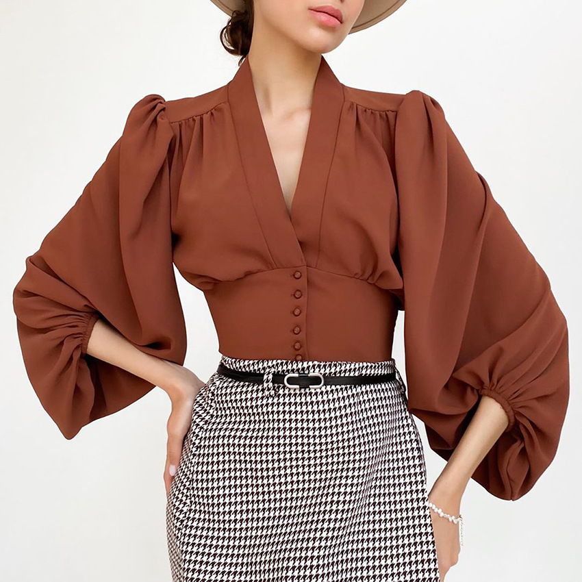 V-neck Slim Waist Lantern Sleeve Blouse Top