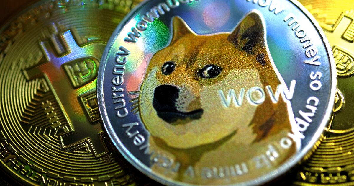👕Dogecoin Custom T-shirt👕
