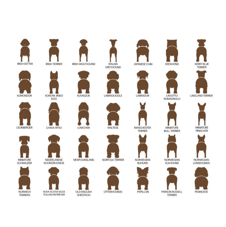 personalized dog leash holder/wood dog leash holder/custom dog leash holder/Laser cut dog leash holder/personalized leash holder for wal