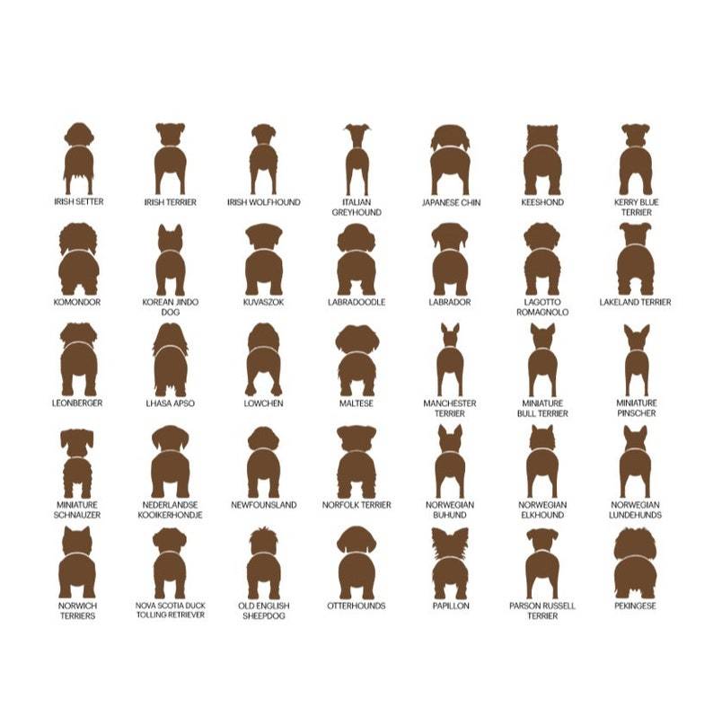 personalized dog leash holder/wood dog leash holder/custom dog leash holder/Laser cut dog leash holder/personalized leash holder for wal