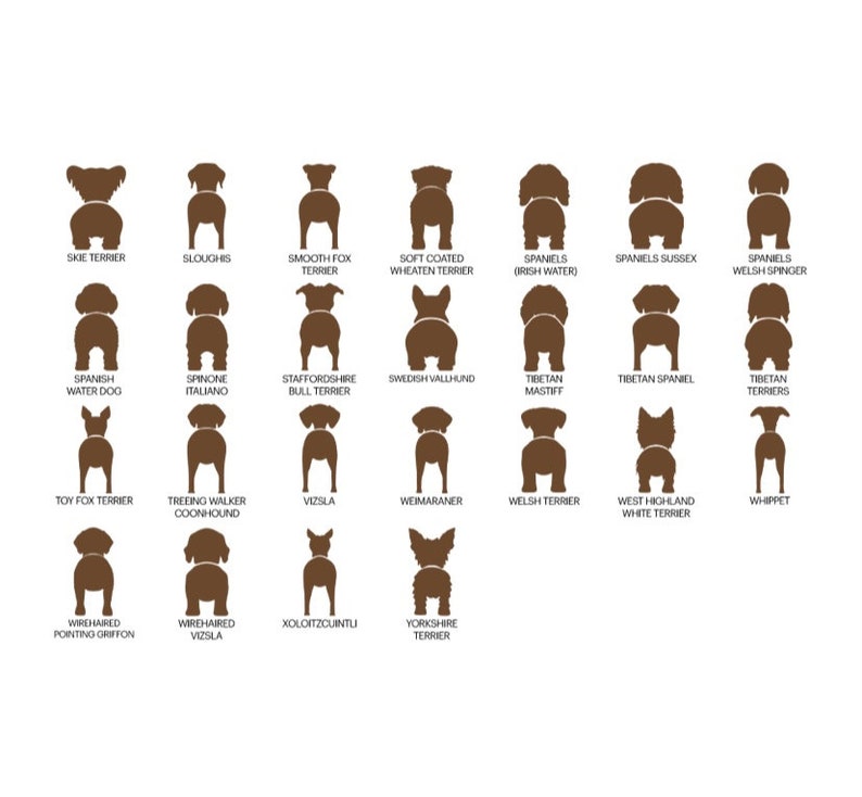 personalized dog leash holder/wood dog leash holder/custom dog leash holder/Laser cut dog leash holder/personalized leash holder for wal