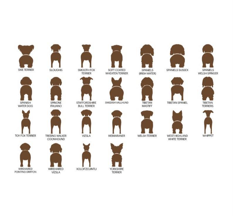 personalized dog leash holder/wood dog leash holder/custom dog leash holder/Laser cut dog leash holder/personalized leash holder for wal