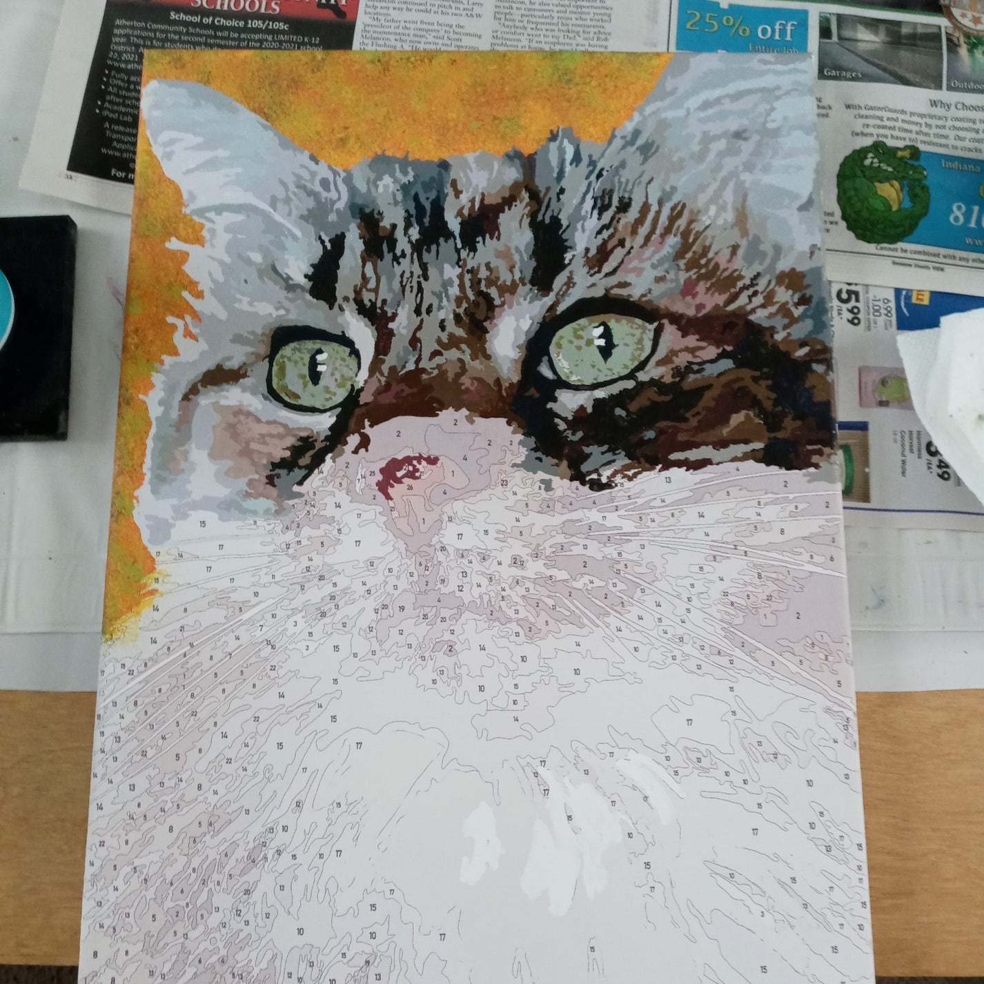 🔥Hot sale, Save 50% today🔥 🎨 Paint By Numbers.🖌️