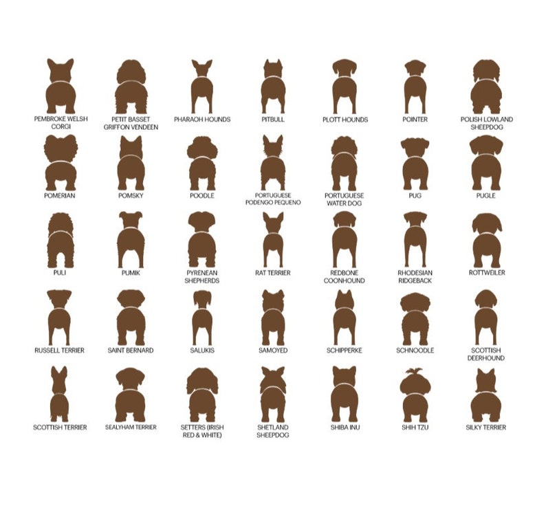 personalized dog leash holder/wood dog leash holder/custom dog leash holder/Laser cut dog leash holder/personalized leash holder for wal