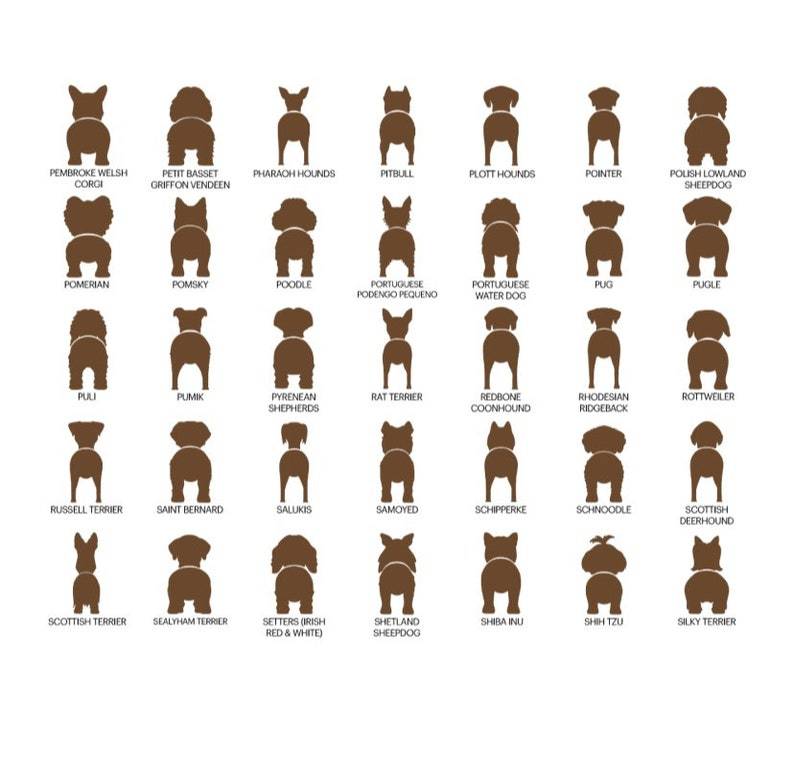 personalized dog leash holder/wood dog leash holder/custom dog leash holder/Laser cut dog leash holder/personalized leash holder for wal