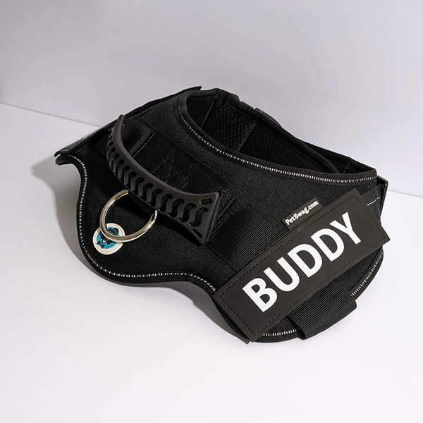🐕Custom Anti-Choke Dog Harness🐶