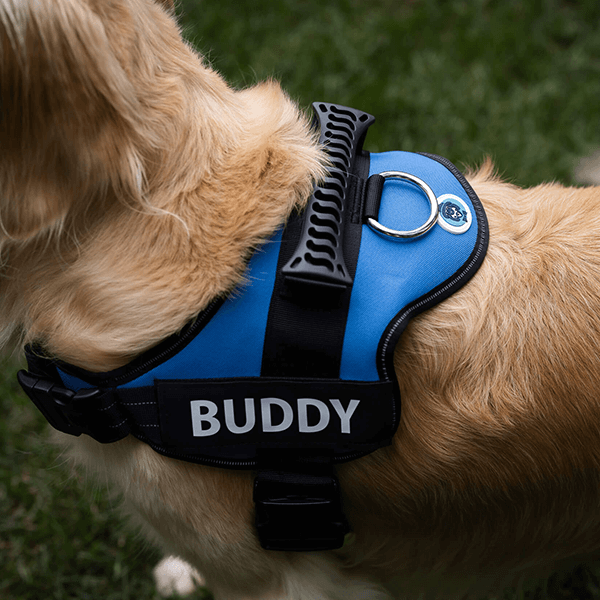🐕Custom Anti-Choke Dog Harness🐶