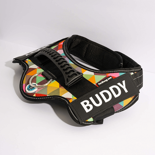 🐕Custom Anti-Choke Dog Harness🐶