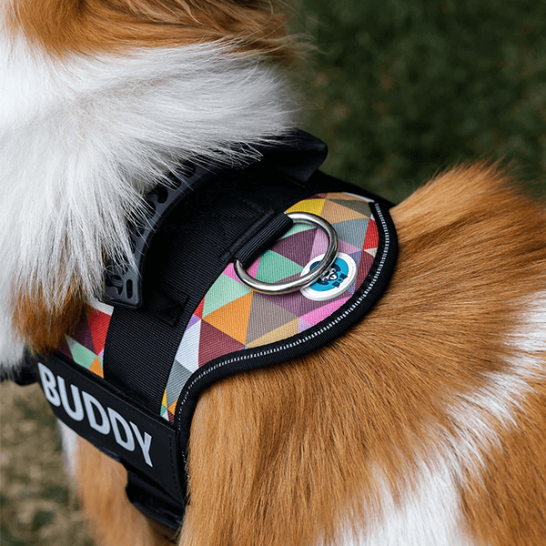🐕Custom Anti-Choke Dog Harness🐶