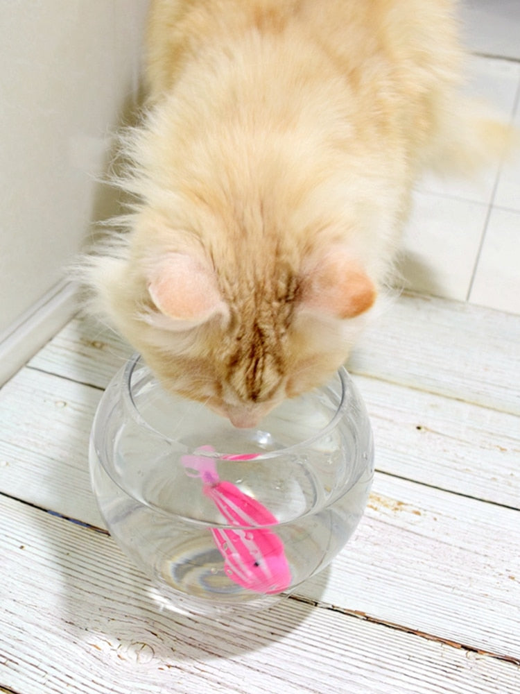 😺🐶Fish Toy For Pets