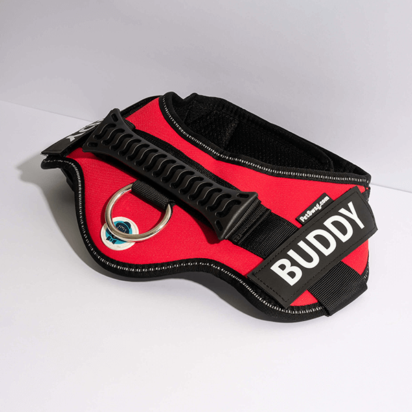 🐕Custom Anti-Choke Dog Harness🐶