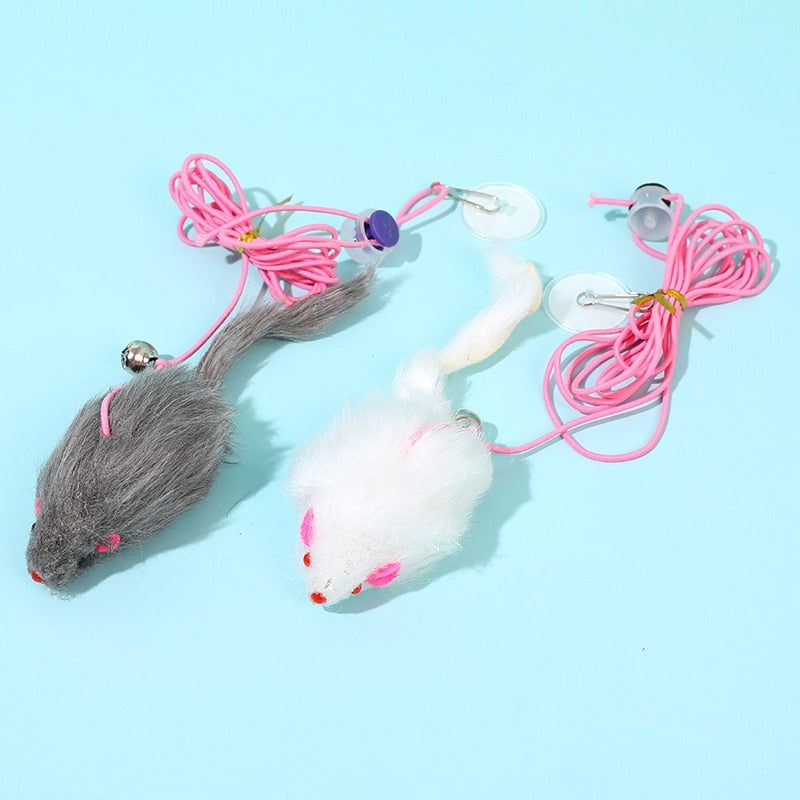Hanging Cat Toy 