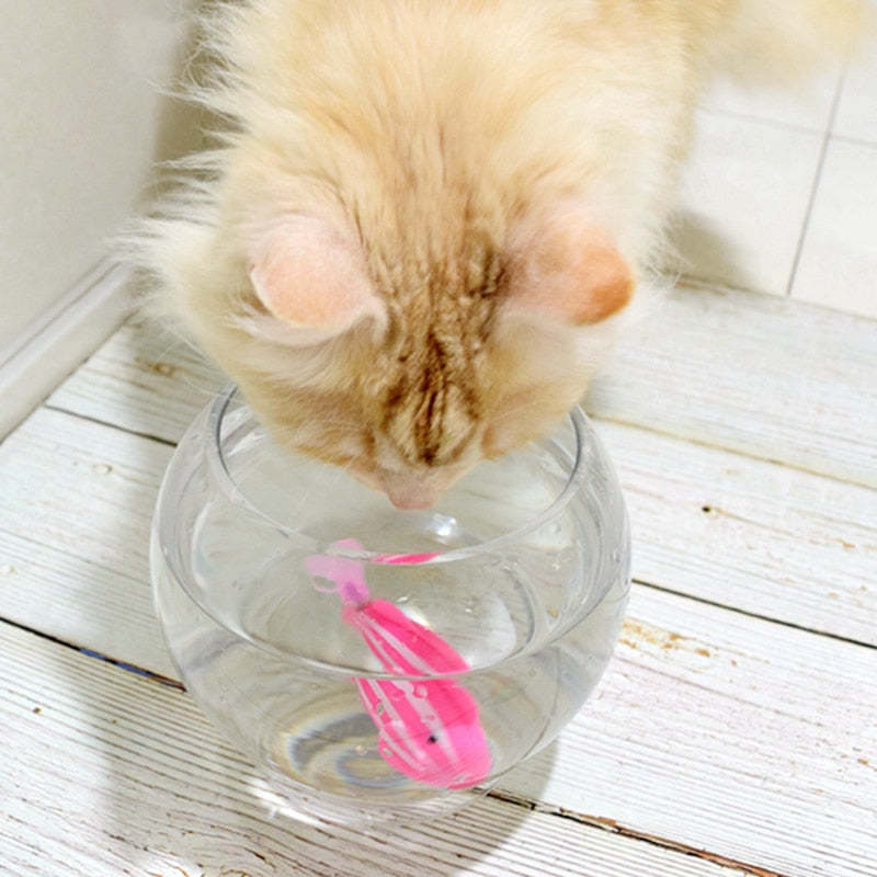 😺🐶Fish Toy For Pets