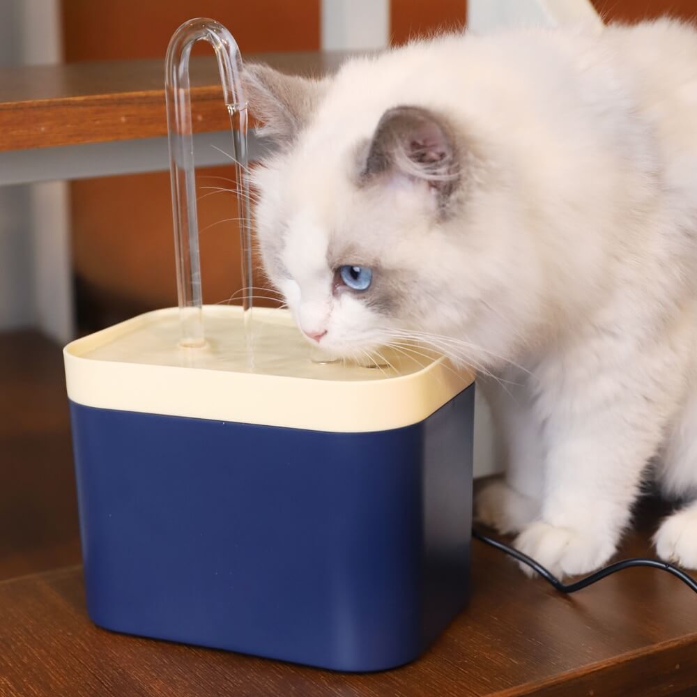 😺Cat water dispenser automatic circulation flow mute water dispenser😻