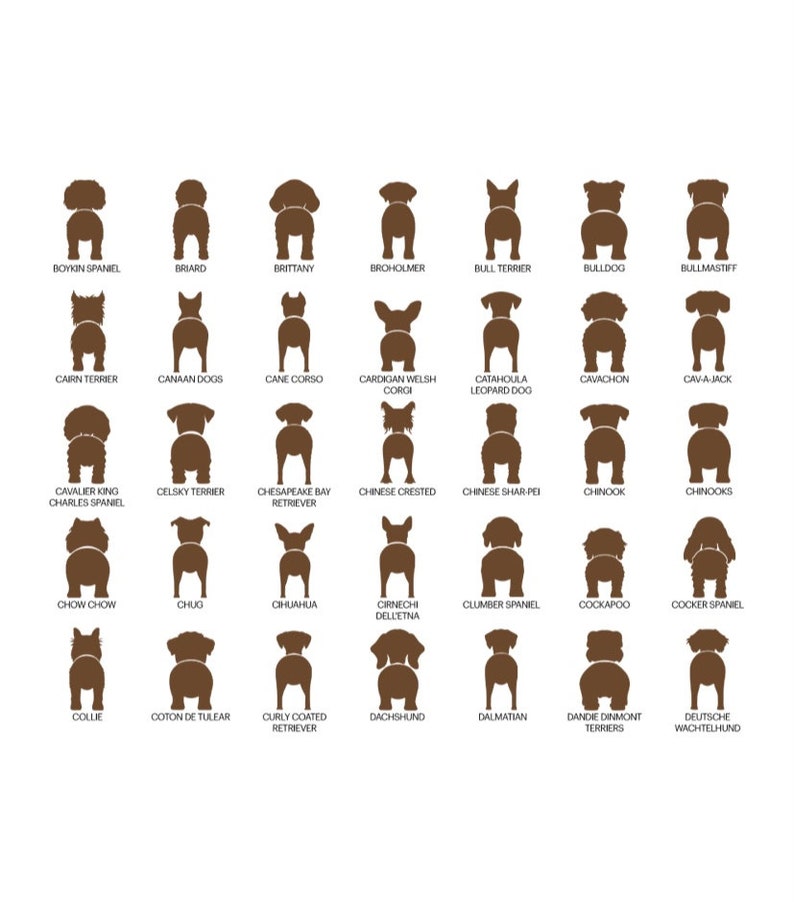 personalized dog leash holder/wood dog leash holder/custom dog leash holder/Laser cut dog leash holder/personalized leash holder for wal