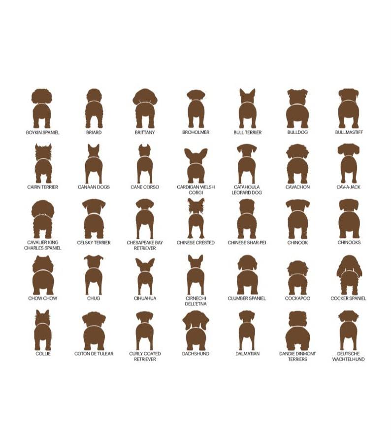 personalized dog leash holder/wood dog leash holder/custom dog leash holder/Laser cut dog leash holder/personalized leash holder for wal