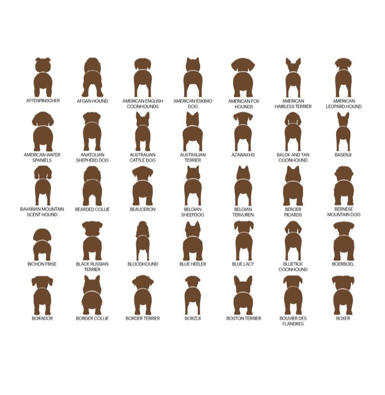 personalized dog leash holder/wood dog leash holder/custom dog leash holder/Laser cut dog leash holder/personalized leash holder for wal