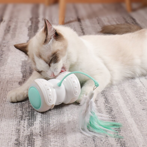 Smart Remote Control Teasing Cat Toy