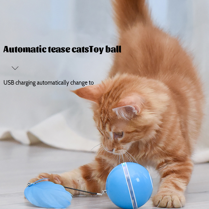 Smart Rolling Ball For Cat