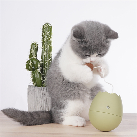 Eggshell Funny Interactive Cat Toy