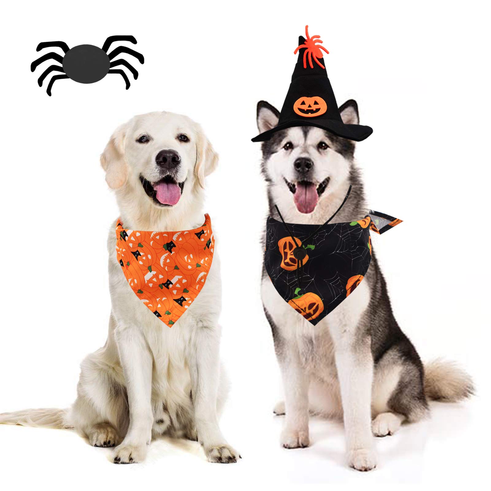 Dog Halloween Outfit