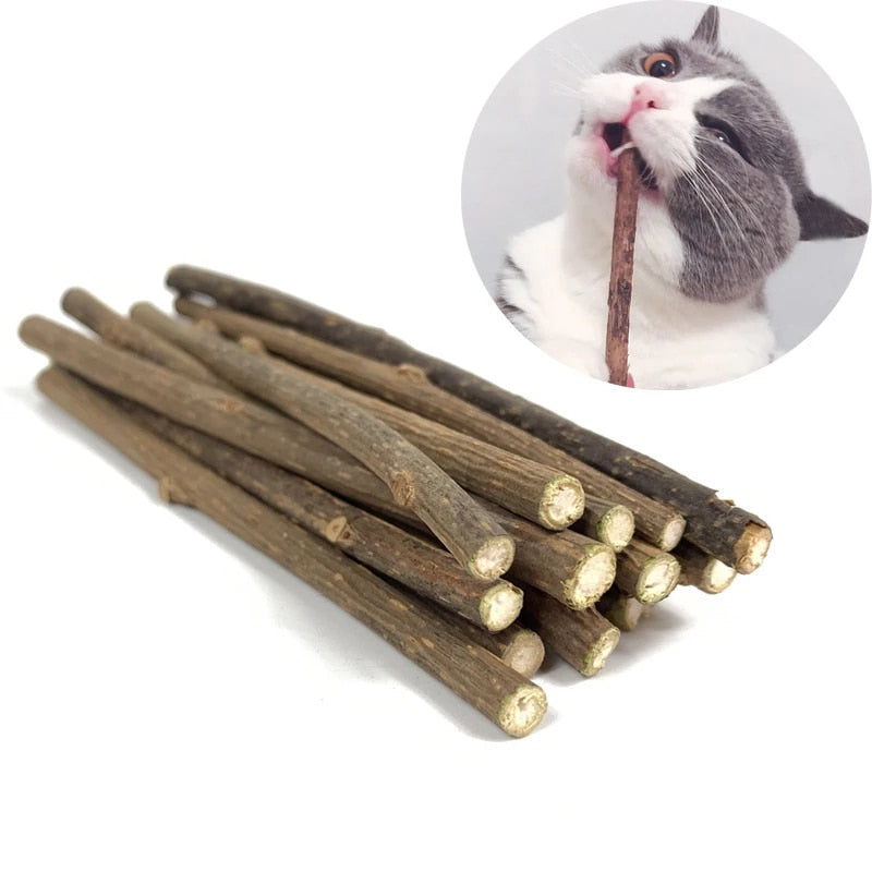 Natural Catnip Pet Cat Molar Toothpaste Stick Matatabi Actinidia Fruit Silvervine Cat Snacks Sticks Pet Cleaning Teeth