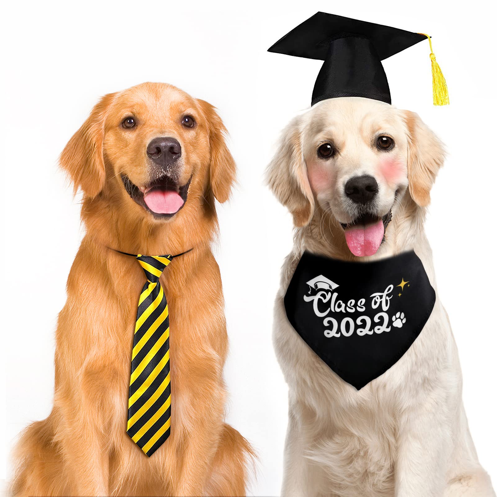 Dog Graduation Costume