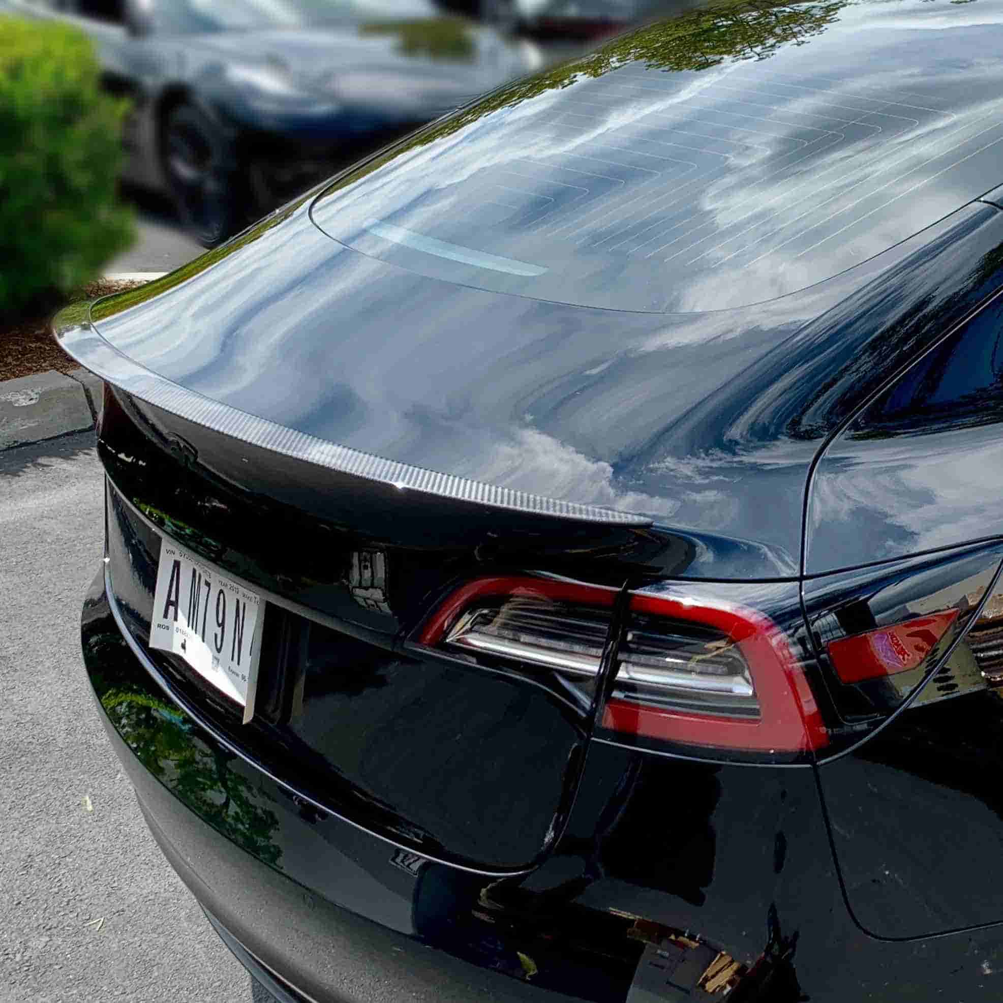 Tesla Model 3 Rear Spoiler - Real Molded Carbon Fiber