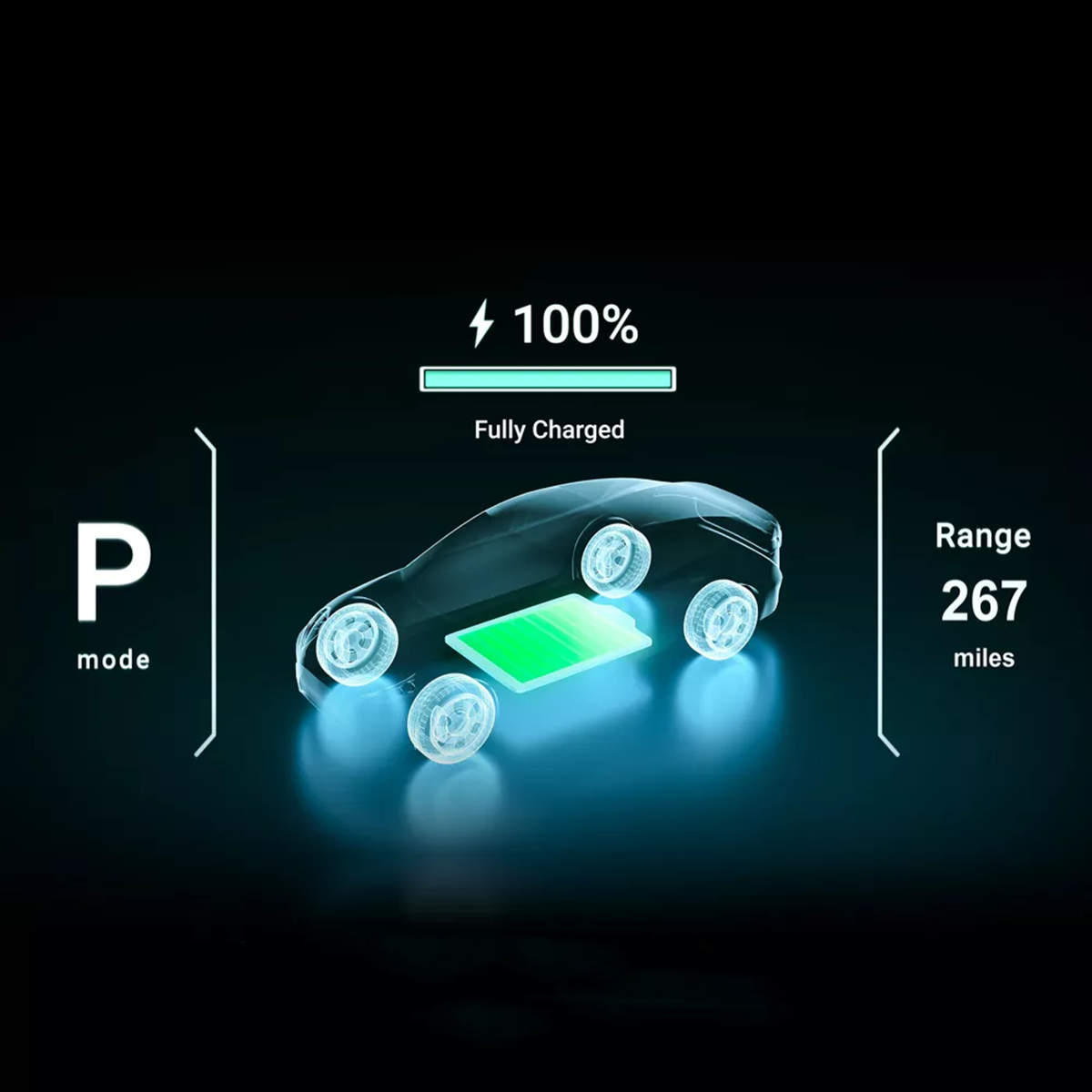 Lectron CCS1 To Tesla Charging Adapter (Balck)